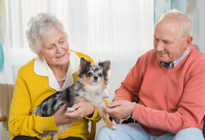 couple with a small dog in their senior living apartment