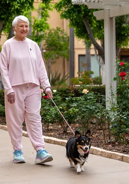 Walking Dog